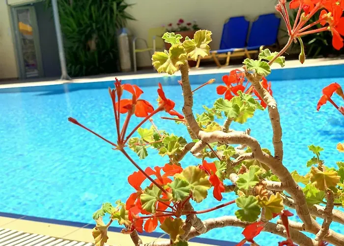 Kassavetis Center - &