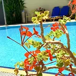 Kassavetis Center - &