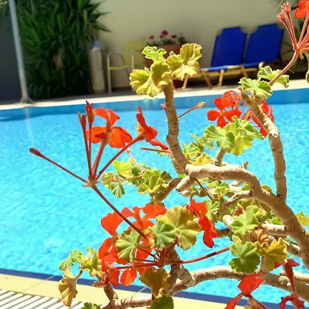 Kassavetis Center - &