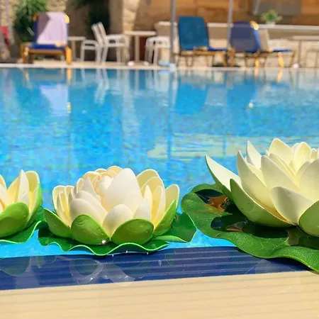 公寓式酒店 Kassavetis Center - & 赫索尼索斯